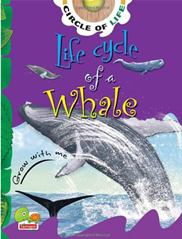 life-cycle-of-a-whale-key-stage-1-circle-of-life